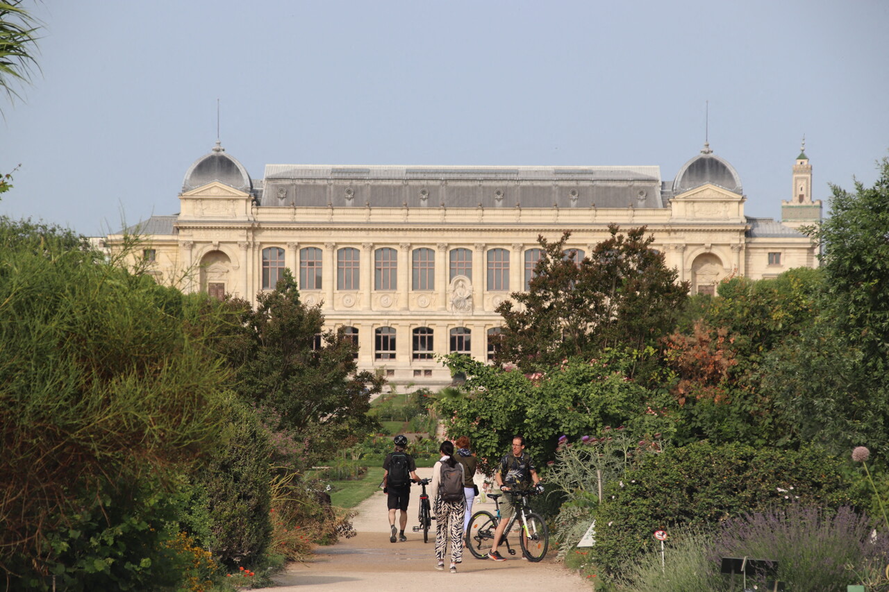 vol de pépites d’or au Muséum d’Histoire naturelle, une partie du musée fermée au public