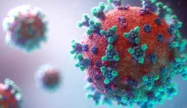 ce que l’on sait du virus «Frankenstein», «qui échappe au système immunitaire»