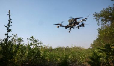 à quoi servirait le «mur de drones» européen aux frontières avec la Russie ?