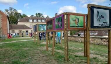 le grand festival de la photo animalière est de retour à Rambouillet
