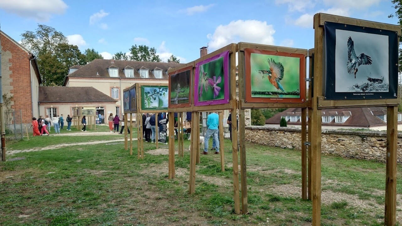 le grand festival de la photo animalière est de retour à Rambouillet