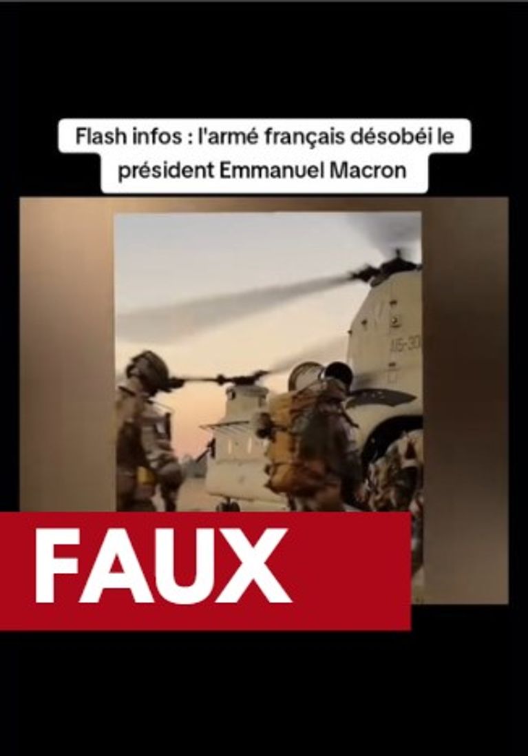 Capture d'écran TikTok / Les Vérificateurs