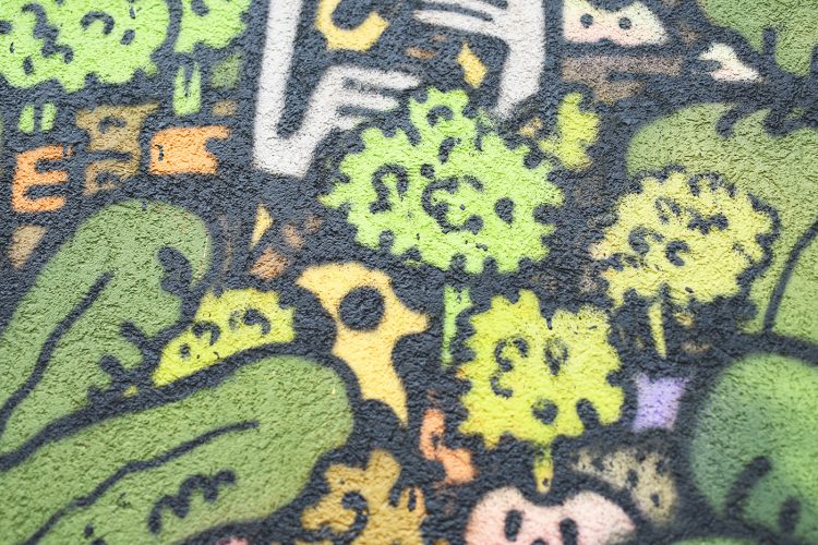 Festival colors urban art street art (15)