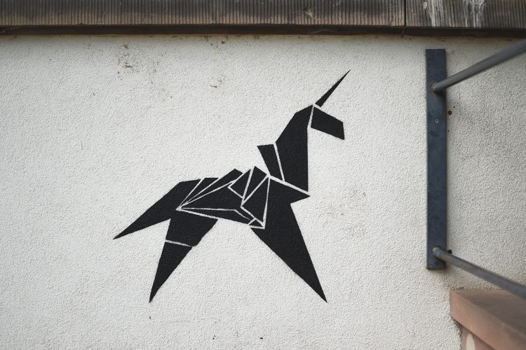 Festival colors urban art street art (27)