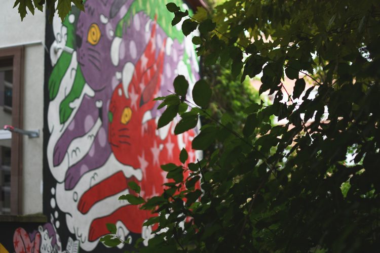 Festival colors urban art street art (34) Amaia Arrazola