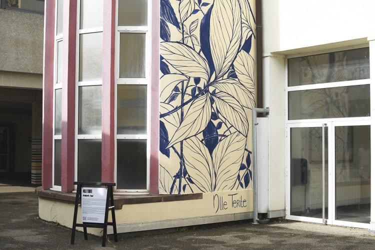 Festival colors urban art street art (37) Mlle Terite