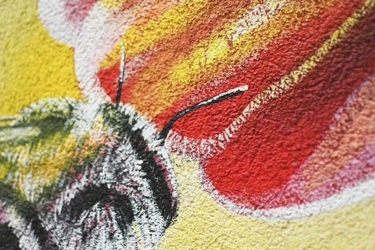 Festival colors urban art street art (39)