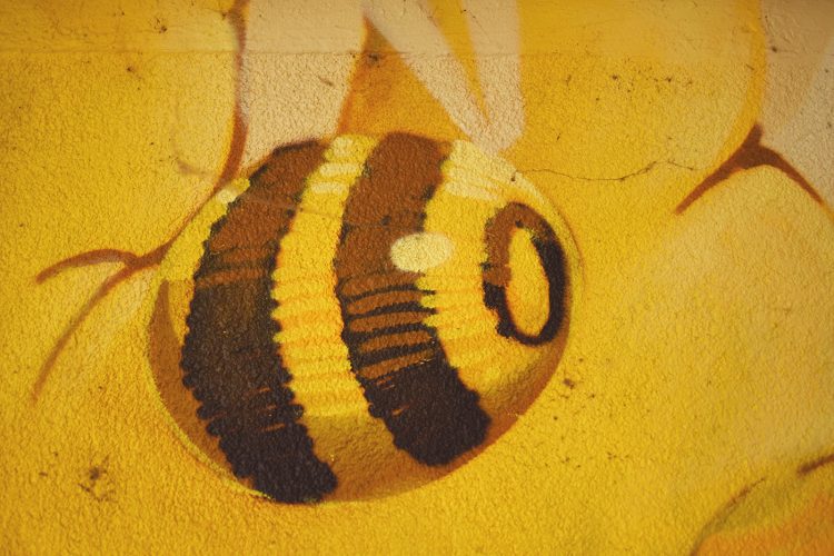 Festival colors urban art street art (67) Stom500