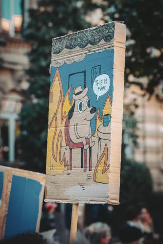 10 septembre, bloquons tout, Foule, pancartes, manifestant