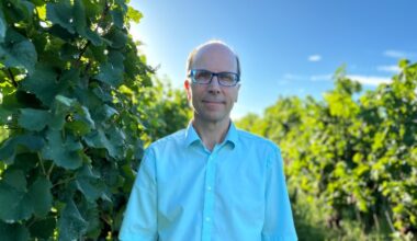 La crise du vin frappe l