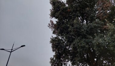 Le temps sera très automnal ce jeudi à Toulouse et en Occitanie : voici la météo