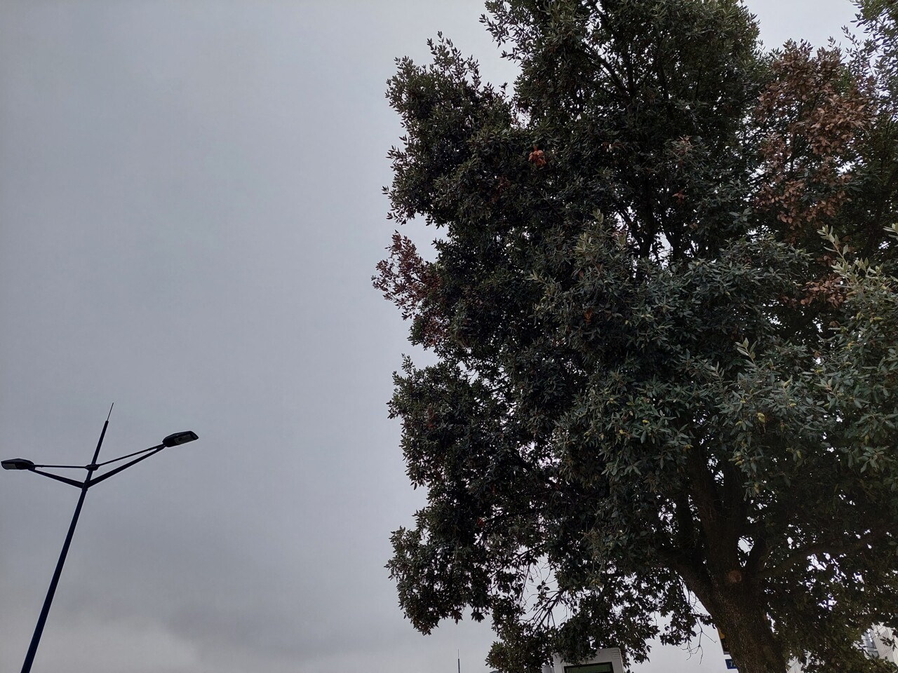 Le temps sera très automnal ce jeudi à Toulouse et en Occitanie : voici la météo