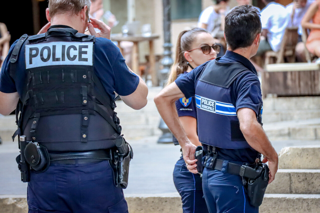 horrible découverte, plus de 100 oiseaux détenus dans une cave insalubre