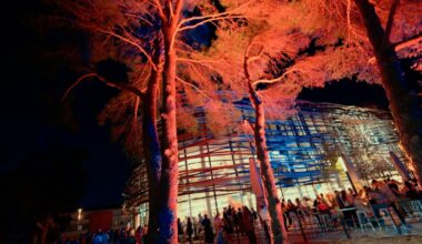 les Halles védasiennes ouvertes ; qu'est-ce qu'on y retrouve ?
