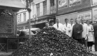Les histoires les plus folles (et parfois tragiques) de la Braderie de Lille