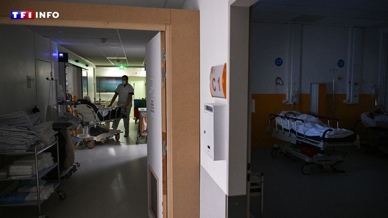 Légionellose : pourquoi le nombre de cas augmente-t-il en France depuis quelques années ?