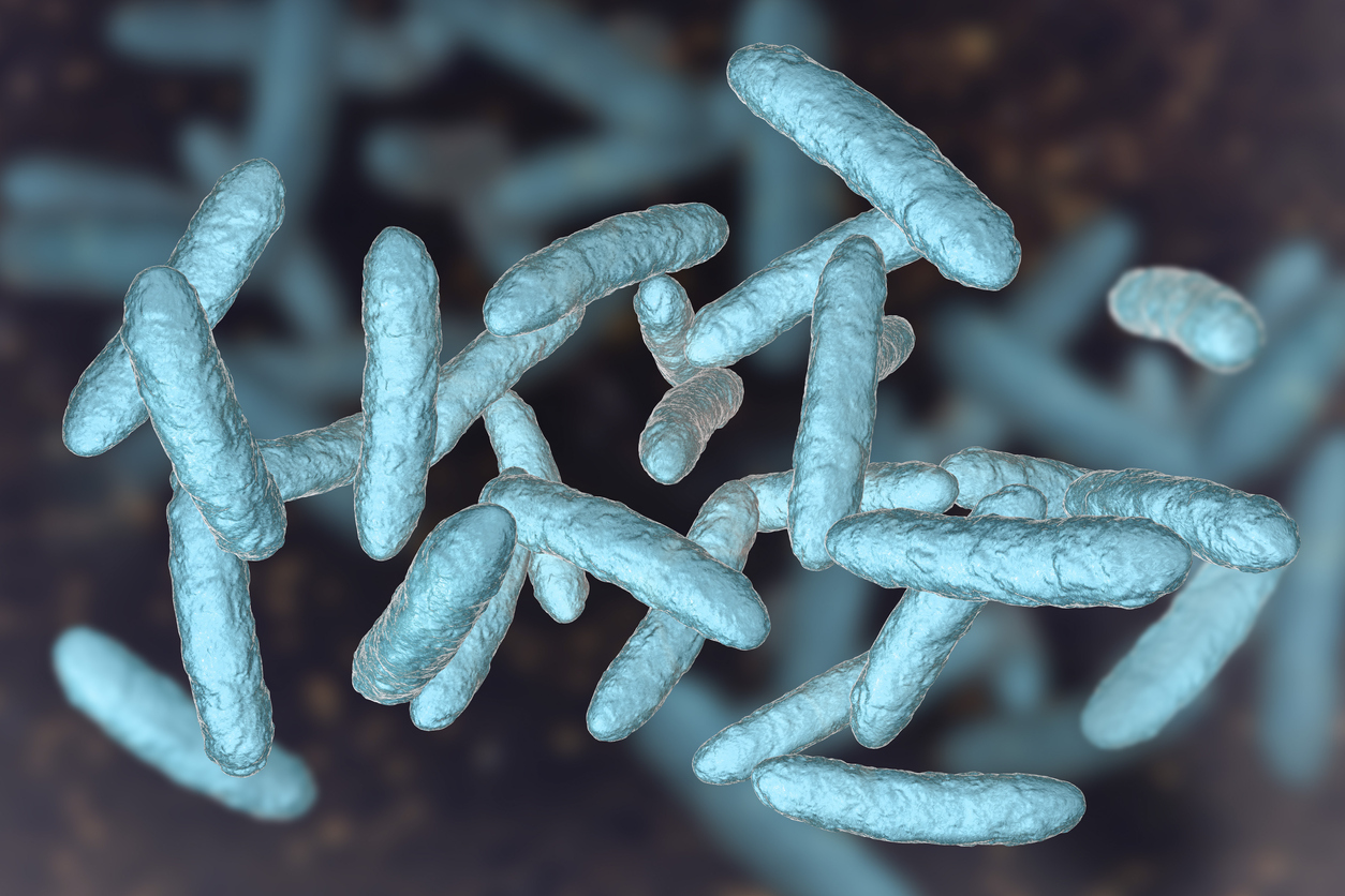 bactéries microbiote intestinal