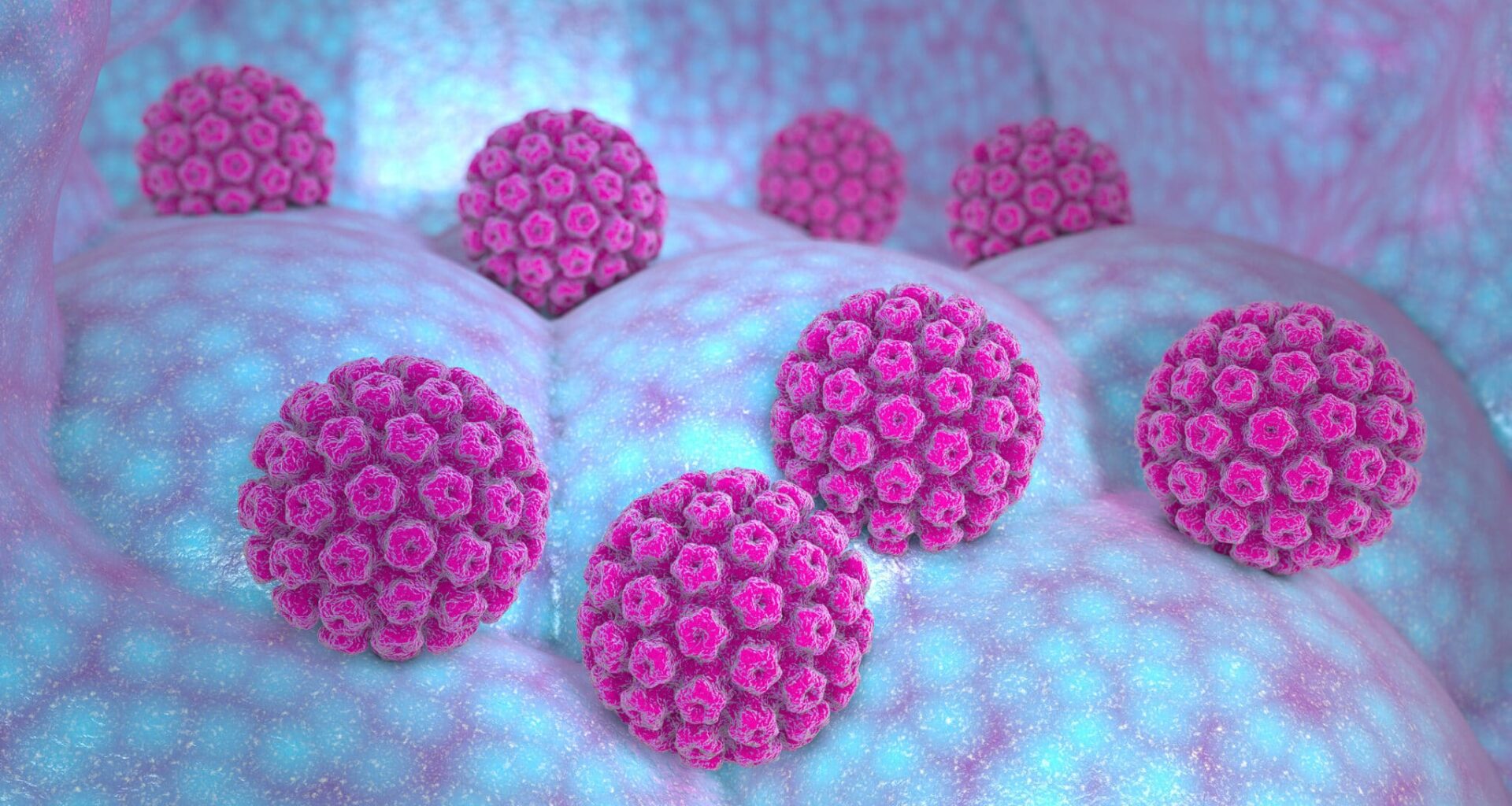 papillomavirus humains HPV