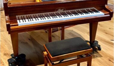 La pianiste martiniquaise Annick Ozier-Lafontaine peaufine son 15e album à Bordeaux