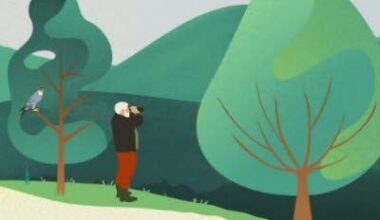 Illustration Le parc des Romains et le parc naturel Urbain de la Bruche