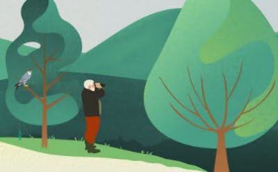 Illustration Le parc des Romains et le parc naturel Urbain de la Bruche
