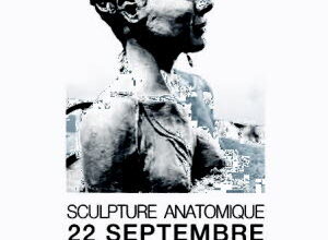 Illustration Stage de sculpture anatomique