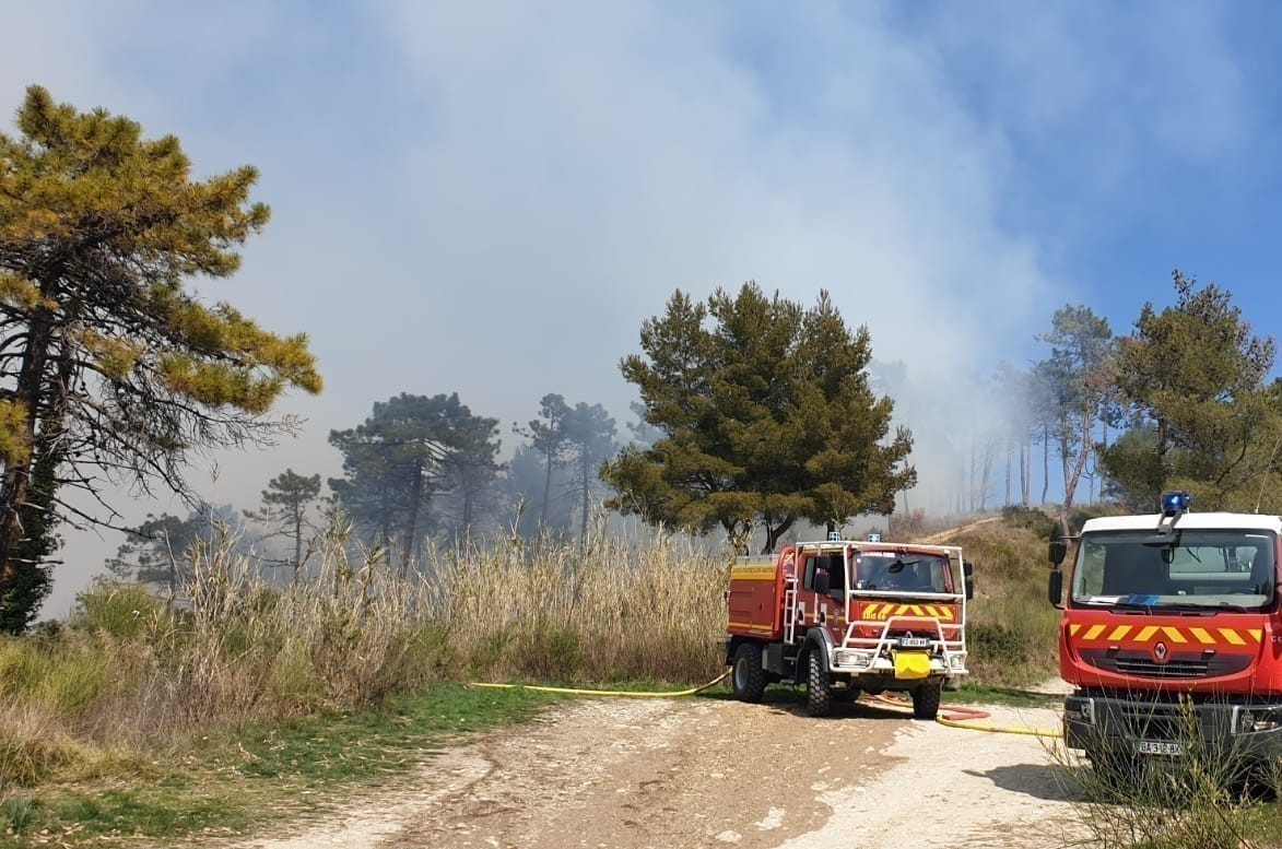 Des feux de forêt se déclarent près de Nice, un possible pyromane arrêté en flagrant délit