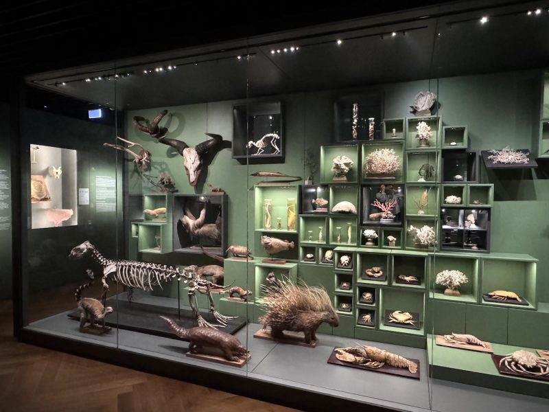Musée zoologique