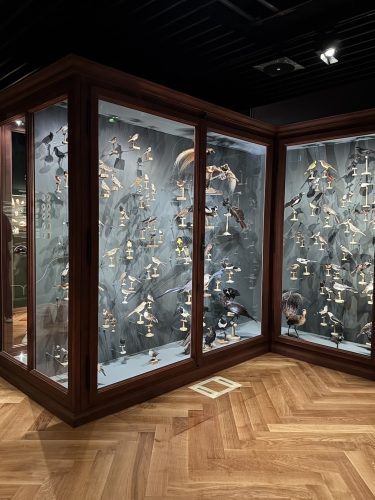 Musée zoologique