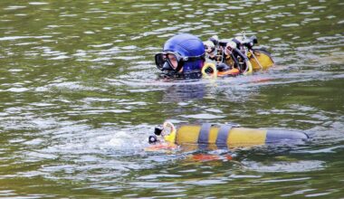 Grenoble. Un homme saute d'un pont dans l'Isère, d'importants moyens de secours déployés