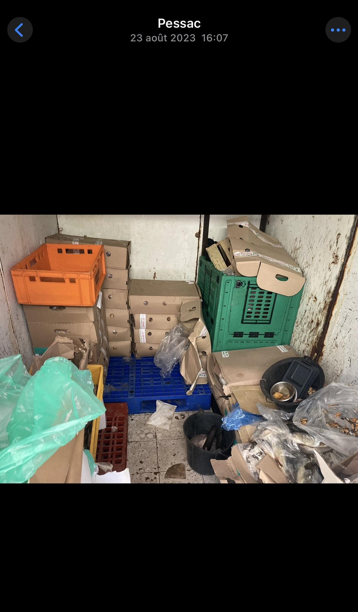 La viande décongelée plusieurs fois a été donnée aux animaux.