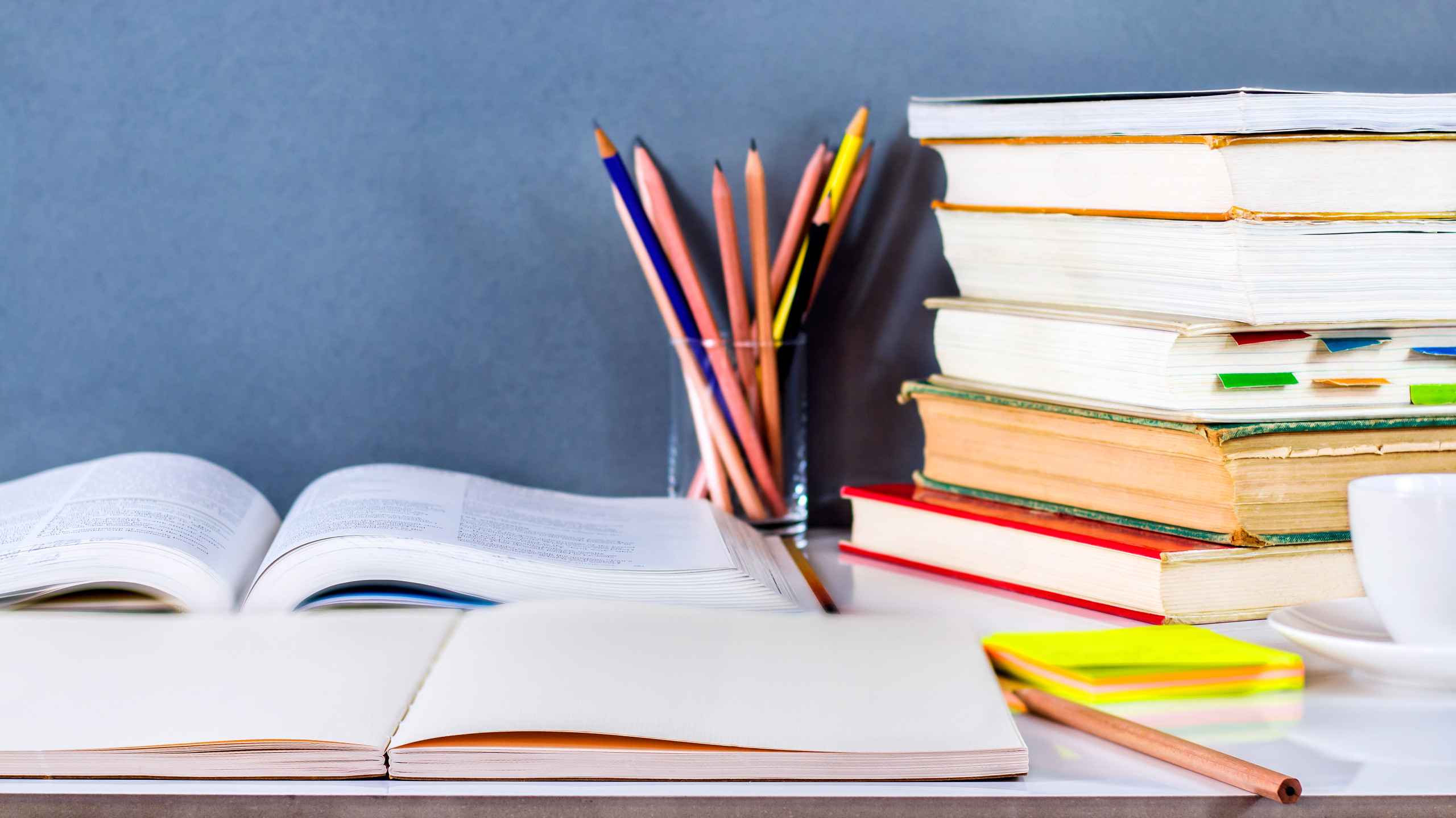 © Shutterstock - Une pétition d’écrivains et d’enseignants alerte sur la disparition des manuels scolaires au profit d’une plateforme numérique unique, Pearltrees, soutenue par la région.