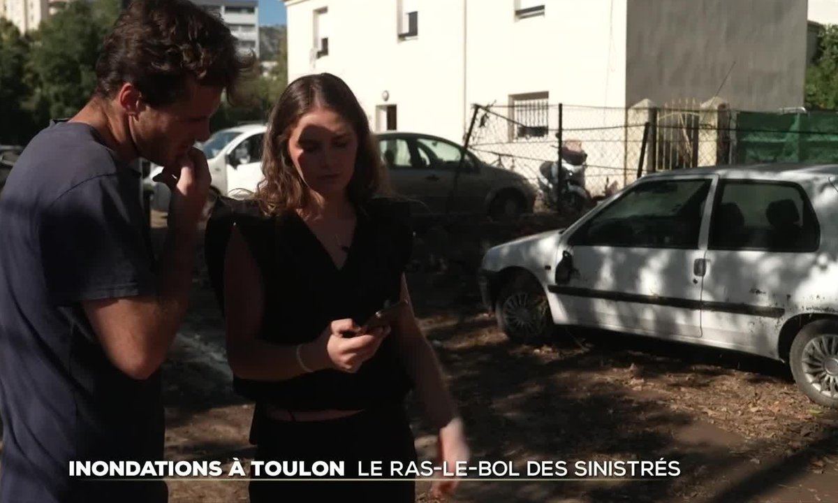 Alerte cobra