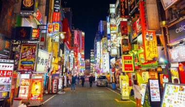 Un énorme marché japonais débarque à Toulouse ce week-end