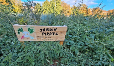 "On a planté 200 pieds de tomates"