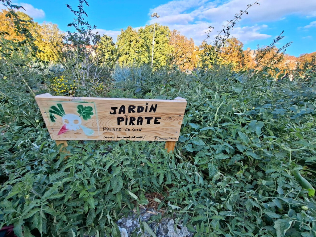"On a planté 200 pieds de tomates"