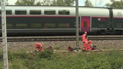 TGV Paris-Lyon : 400 mètres de câbles volés, trafic perturbé
