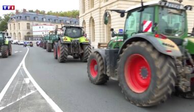 "La France veut toujours laver plus blanc que blanc" : pourquoi les agriculteurs se mobilisent de nouveau ce vendredi