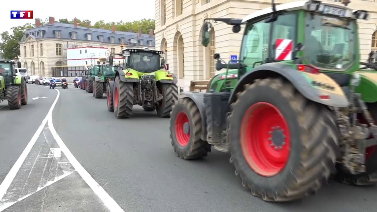 "La France veut toujours laver plus blanc que blanc" : pourquoi les agriculteurs se mobilisent de nouveau ce vendredi