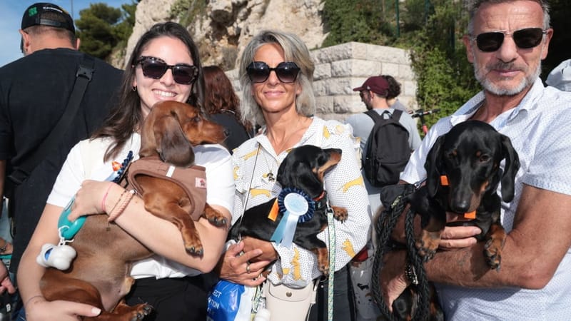 Elsa, Isabelle et Alain ont adopté trois teckels auprès de l’association qui organisait cette opération.