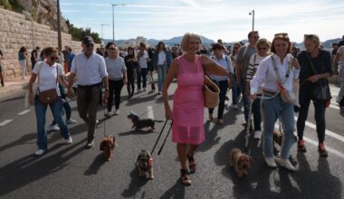 la voie est libre pour les chiens saucisses sur la corniche Kennedy à Marseille