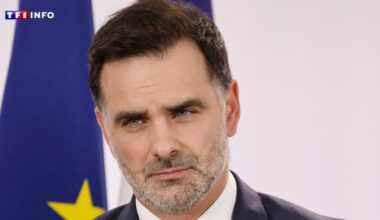 Flottille pour Gaza : le gouvernement appelle à arrêter de "saturer" le centre de crise