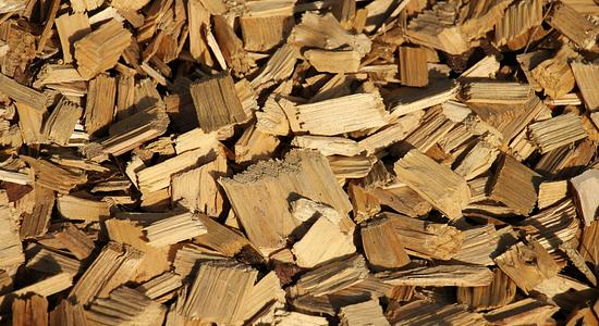 A la découverte d'une ressource renouvelable et recyclable : la biomasse végétale | ECHOSCIENCES