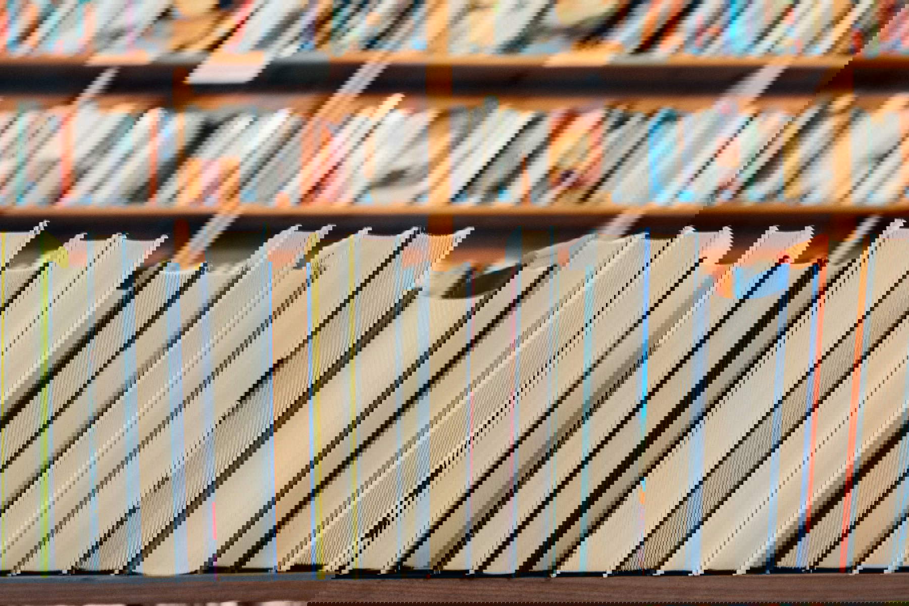 Livres. Photo : Jessica Ruscello