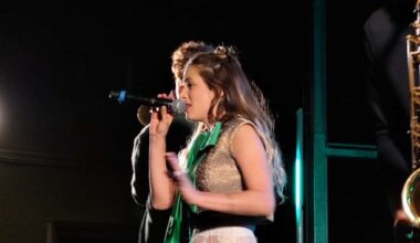 une foule de spectateurs pour le concert gratuit de Luiza, à Rennes