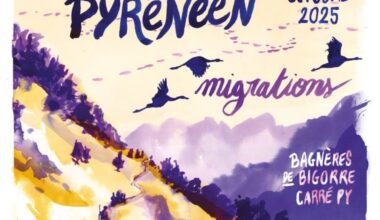 Prix du livre Pyrénéen 2025 et Programme du 16ème Salon du Livre Pyrénéen des 4 et octobre – LOURDES-ACTU