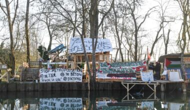 trois militantes écologistes jugées en comparution immédiate pour s'être opposées à l'abattage d'un arbre centenaire