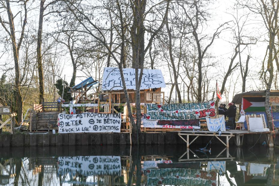 trois militantes écologistes jugées en comparution immédiate pour s'être opposées à l'abattage d'un arbre centenaire