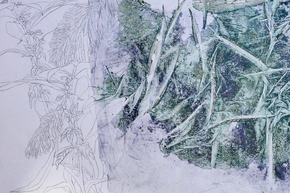 Jungle (lost) paradise (détail) de Mona Laure Millet.