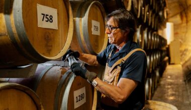 À Bordeaux, ils refont vivre cette "liqueur emblématique de la région" après 40 ans d'absence